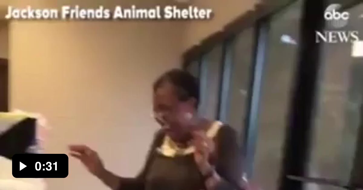 Woman Is Reunited With Her Dog That Was Missing For Two Weeks 9GAG   AWgKVmx Ogimage 