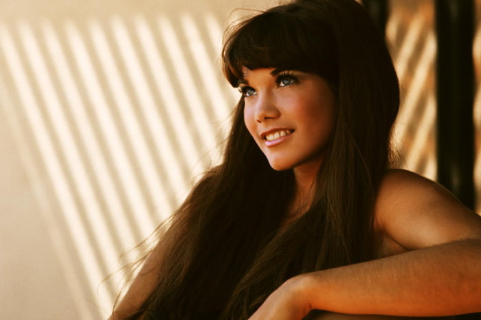 37 points * 1 comments - Barbi Benton - 1970s - 9GAG has the best funny pic...