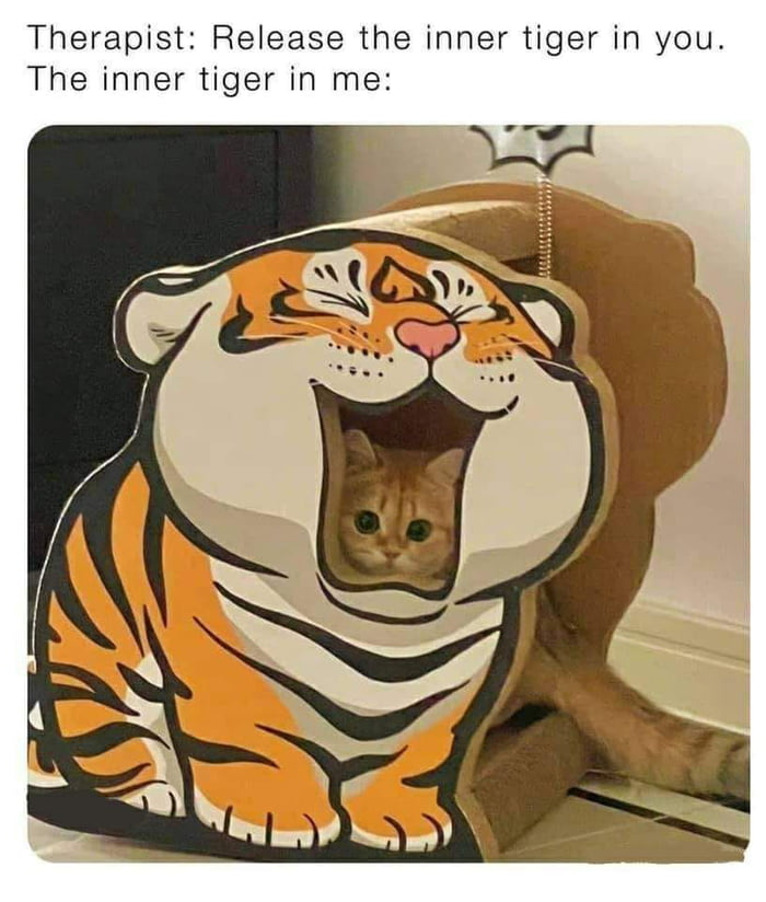 Miau - 9GAG