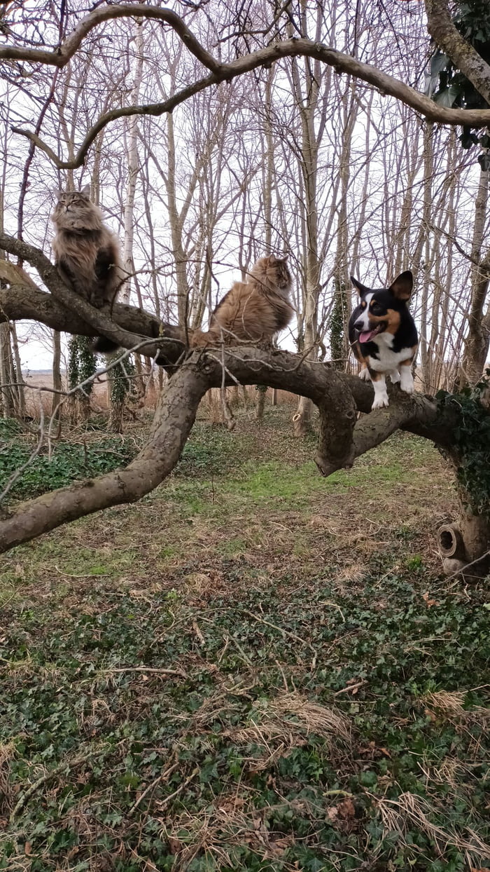 Day 36 they suspect nothing just to be clear i try to prevent him