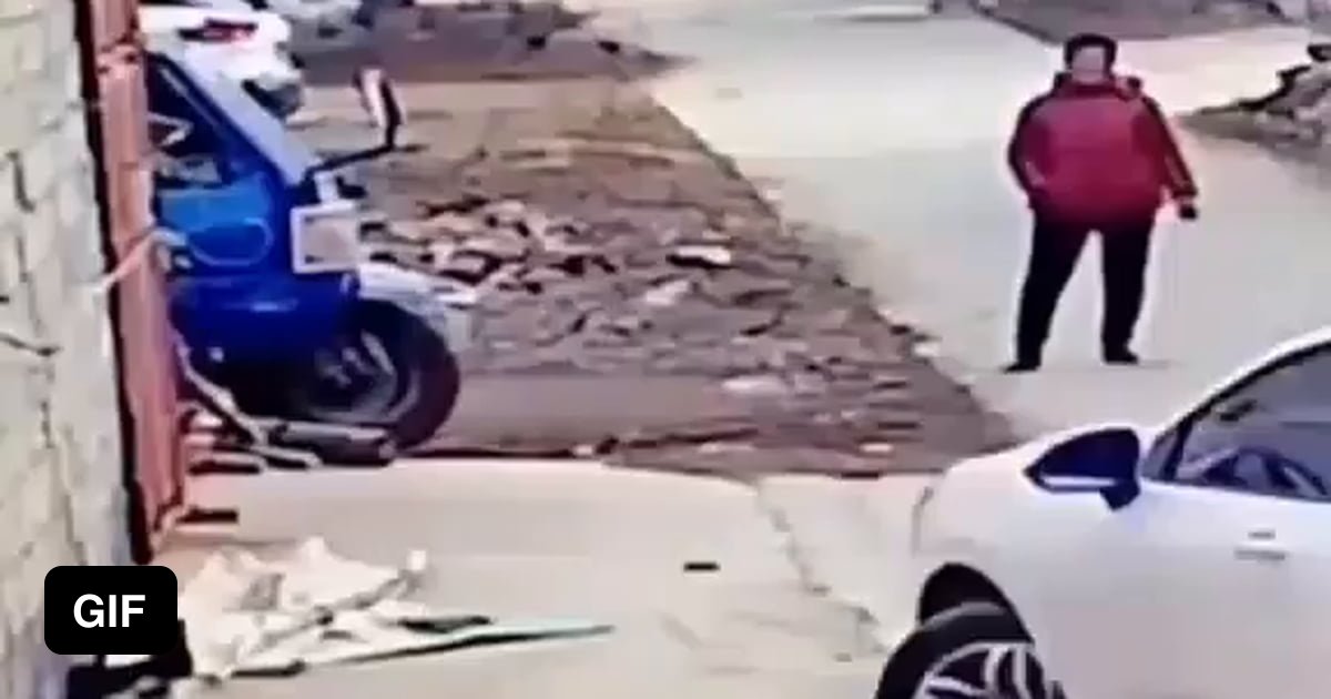 Dog catapult! Launch! 9GAG