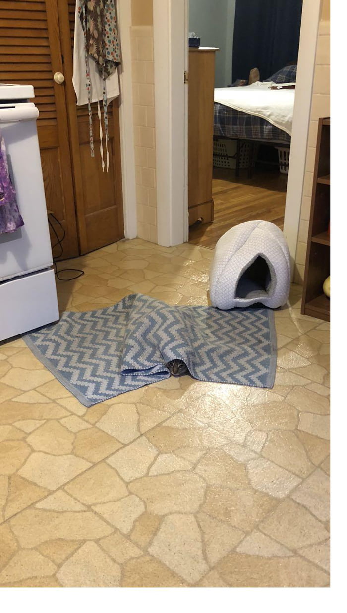 Straighten out rug, sit down, immediately this 9GAG