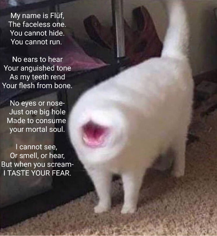 Fluf The Faceless One 9gag