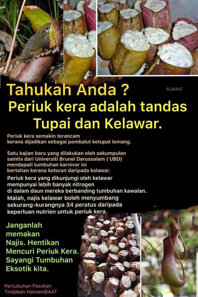 Kalau Ada Sapa2 Biasa Makan Tuu 9gag