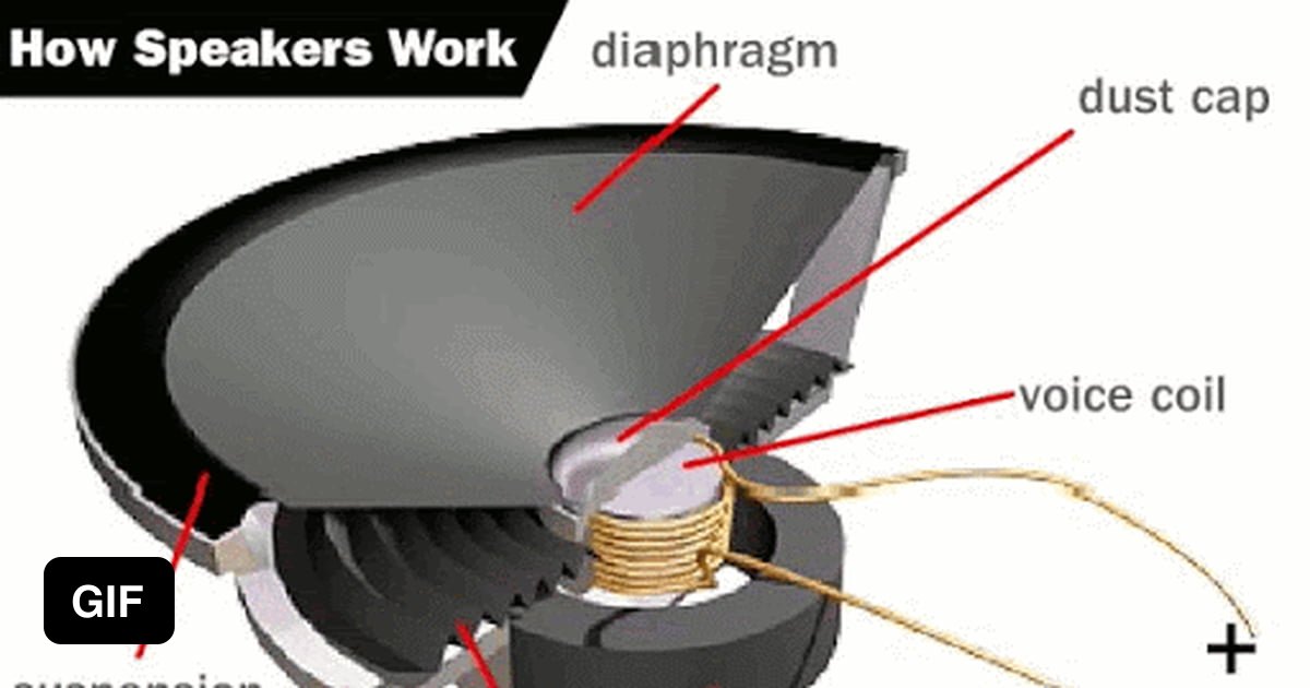 How a speaker works. All sounds are produced by the coil that