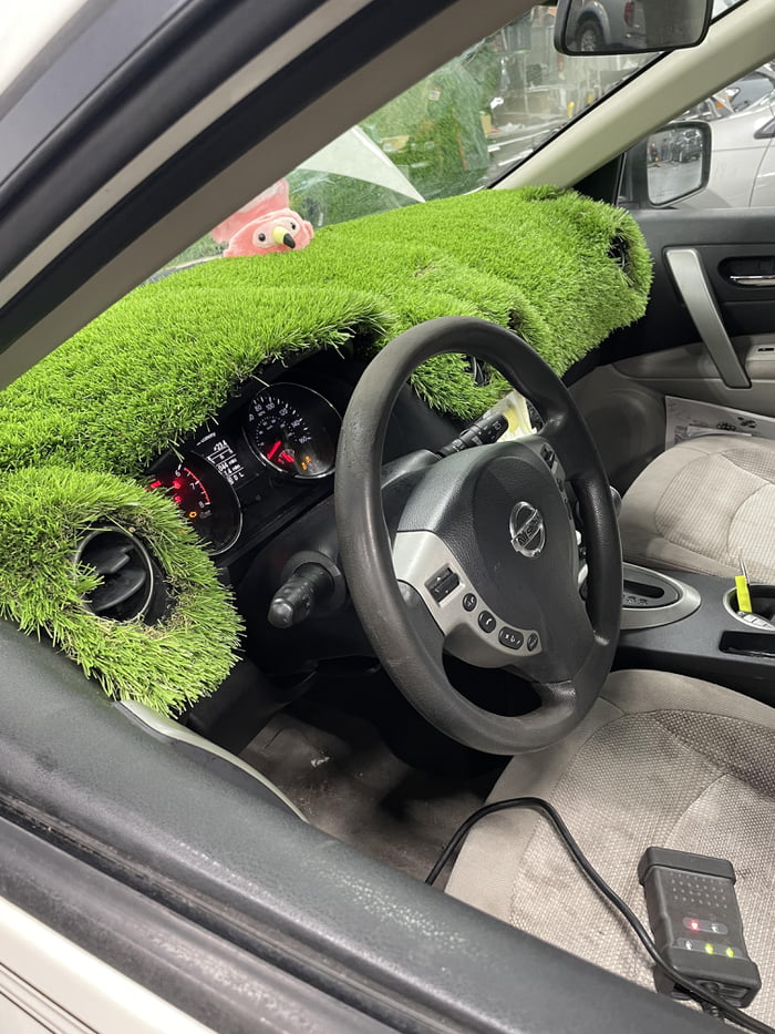 This grass dash mat cover 9GAG
