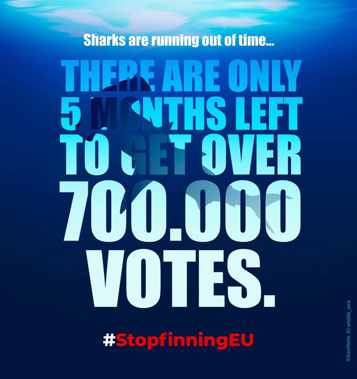 There Are Around 450 Million People Living In Europe Of Which Around 4 Millions Alone Are Scuba 