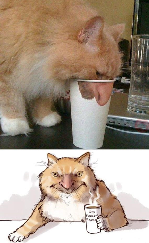 Кот с кружкой мем