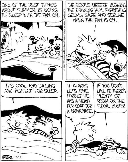 Calvin and Hobbes, I upload every day!! Have a good one all :) take ...