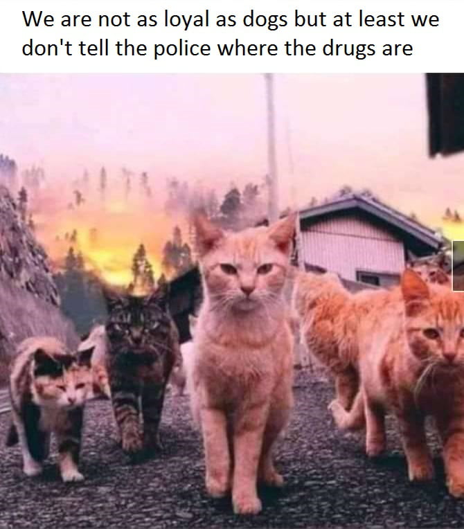 aWxWxrn_700b.jpg