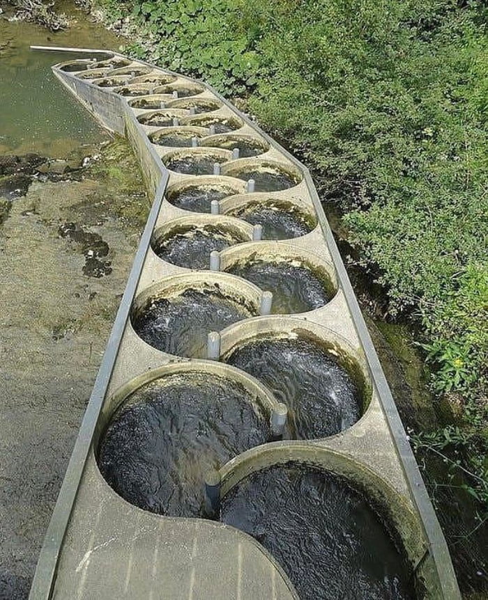 Tesla valve as a fish ladder in Pichoux Switzerland