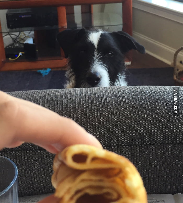 Every time I eat 9GAG
