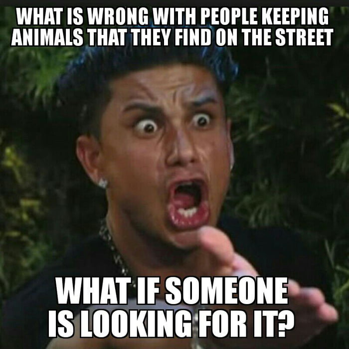 This annoys me way to much, also I would get pissed if my dog got