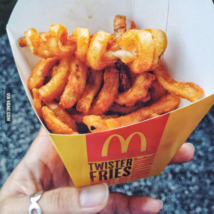 The only thing better than fries twister fries 9GAG