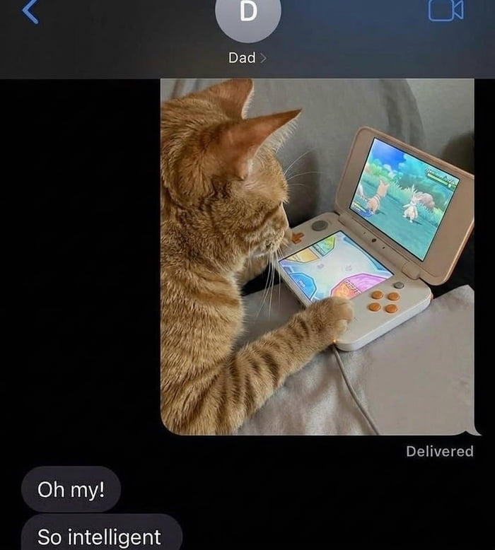 My cat is better at Pokemon than me - 9GAG