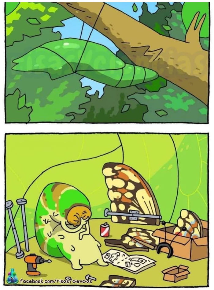 The struggle - 9GAG
