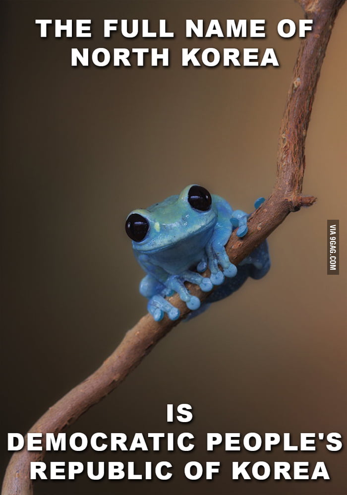 I'm just gonna leave this here - 9GAG