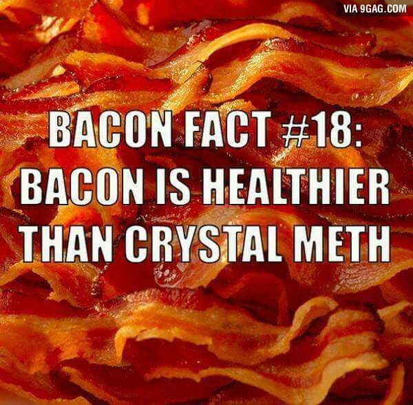 Bacon Facts 9GAG