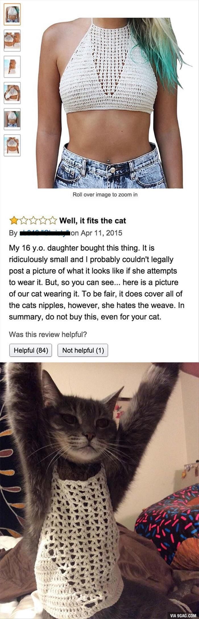 Cat Nipples 9gag