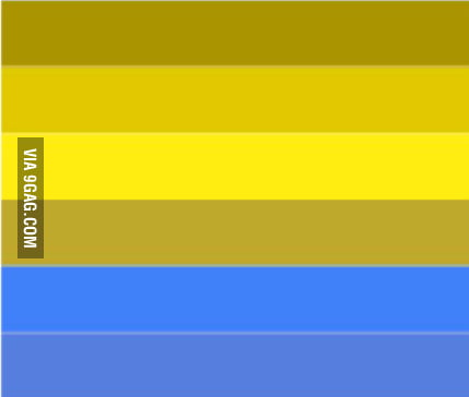 For Colorblind, Gay Pride Flag Looks Like Ukraine! - 9GAG