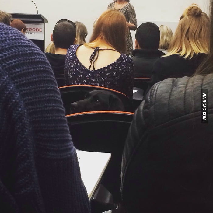 Medical study quotes. Lectures yesterday. Спой для меня «вчера» / yesterday wo utatte. Yesterday / yesterday (2019). Лекция мем.