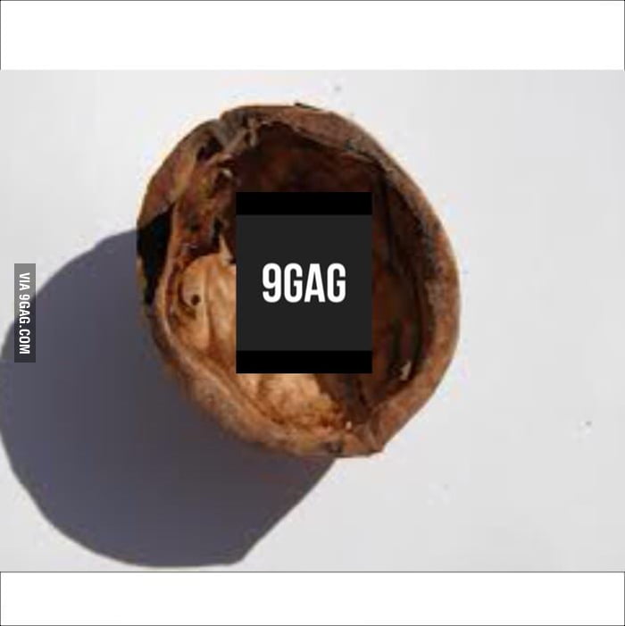 9gag in a nutshell - 9GAG