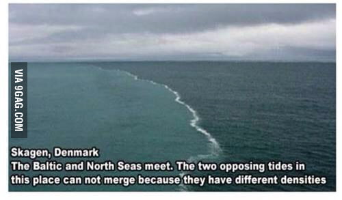 Skagen Denmark Where Two Oceans Meet But Don T Mix 9gag