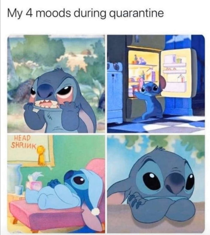 Stitch