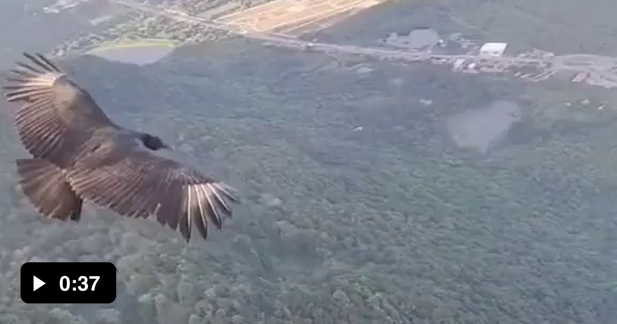 Perfect bird's eye view 9GAG