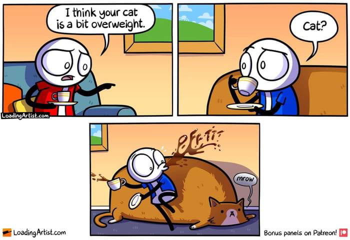 A big cat - 9GAG