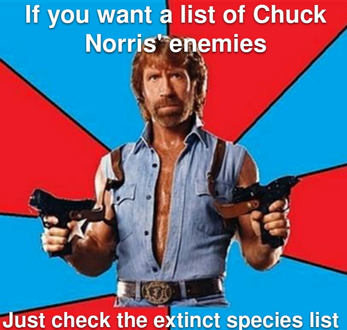 Chuck Norris fact - 9GAG