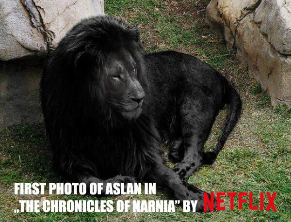 I just watched the last Narnia movie, is this true? - 9GAG