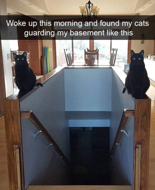 Beware their riddles. One lies and one tells the truth. - 9GAG