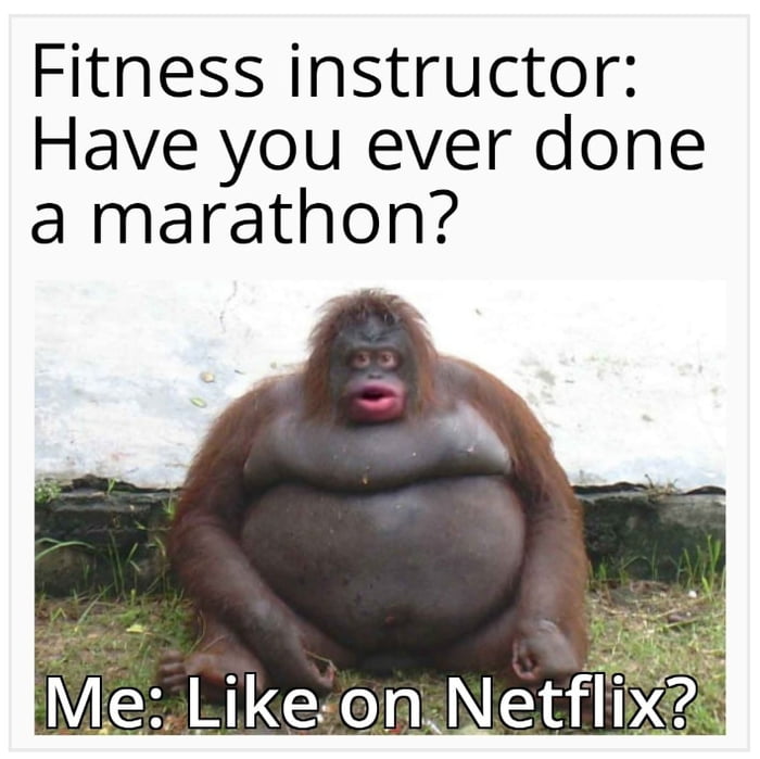 Trained Humor Fitness Trainer Humor