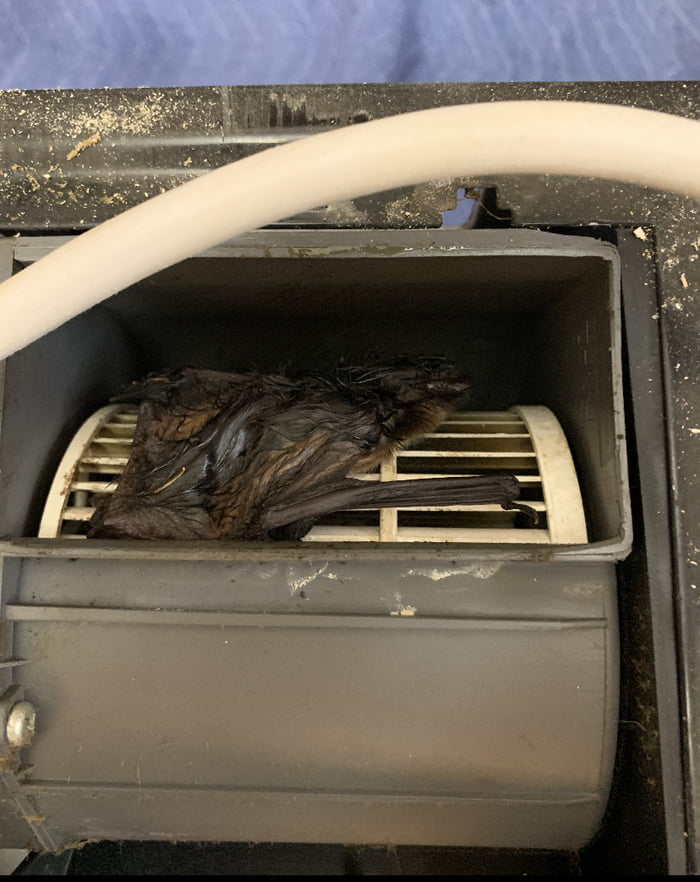 Customer my microwave doesn’t work anymore, oh and it started to smell