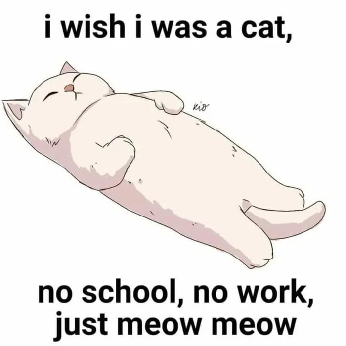 Lets Meow Meow Hentai