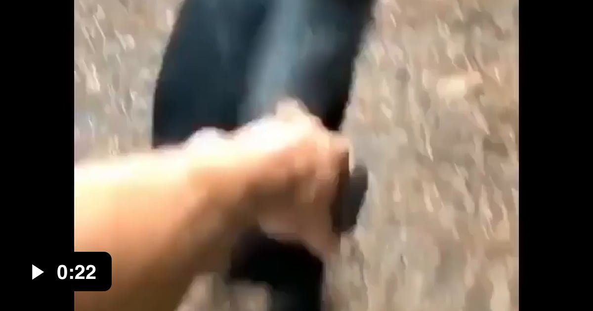 Showing how ridiculously strong chimps are - 9GAG