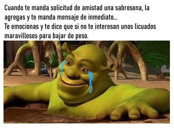 Todo dia um meme do shrek gordo