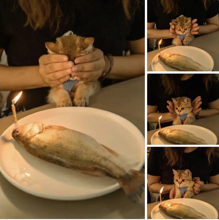 fish flops
