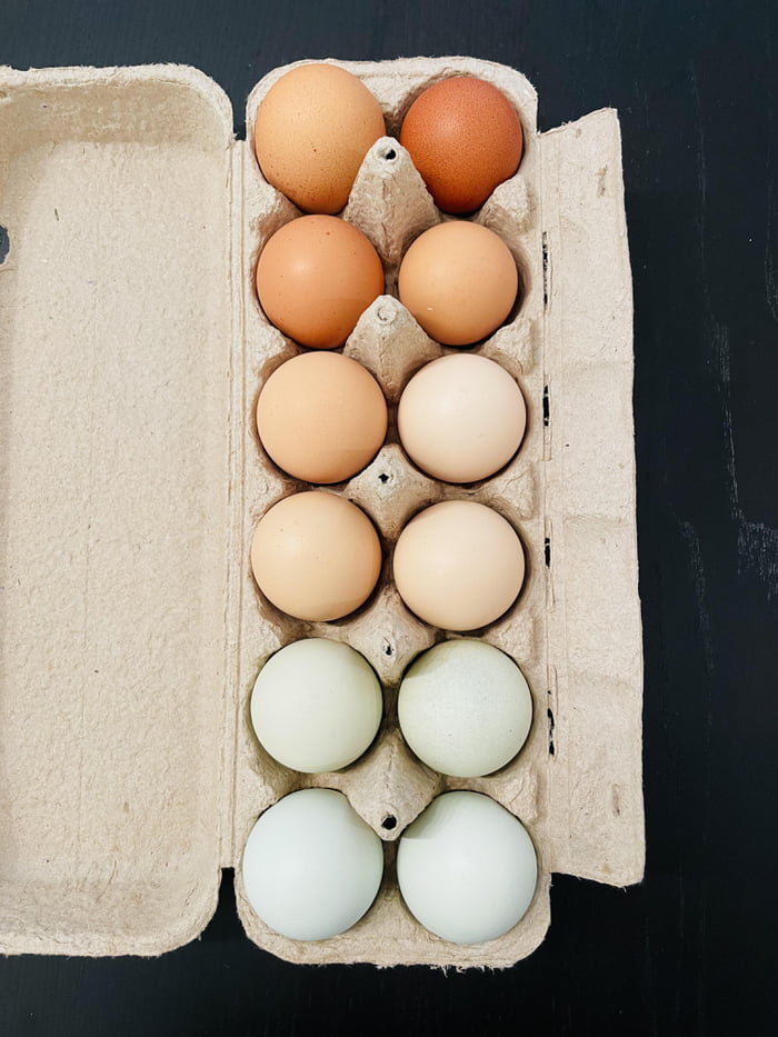 The way these eggs were packed. - 9GAG