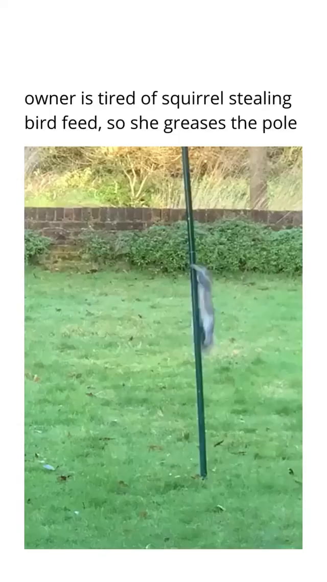 The way he just accepted it!