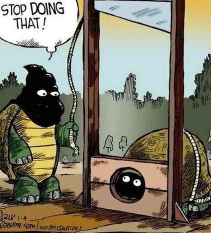 Turtles in a nutshell. - 9GAG