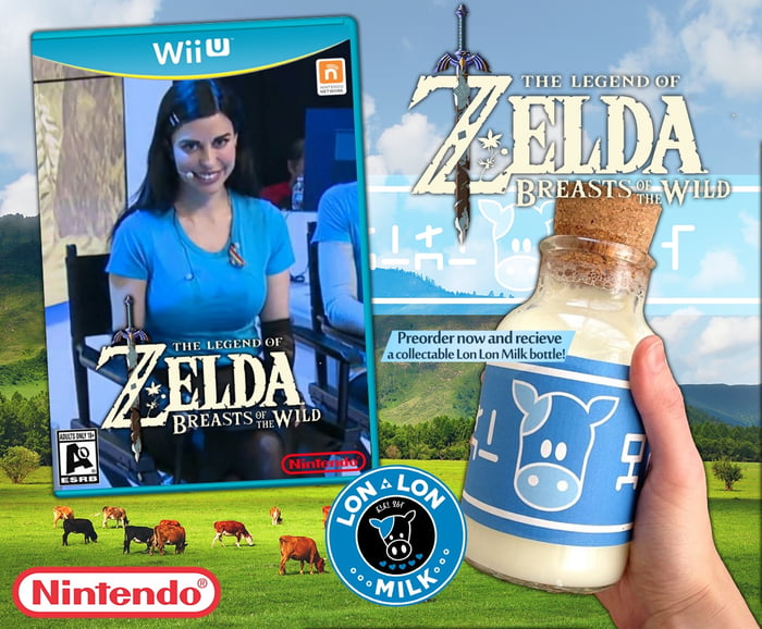 Zelda breasts of the wild 9GAG