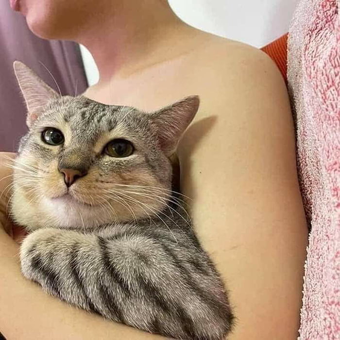 Happy cat - 9GAG