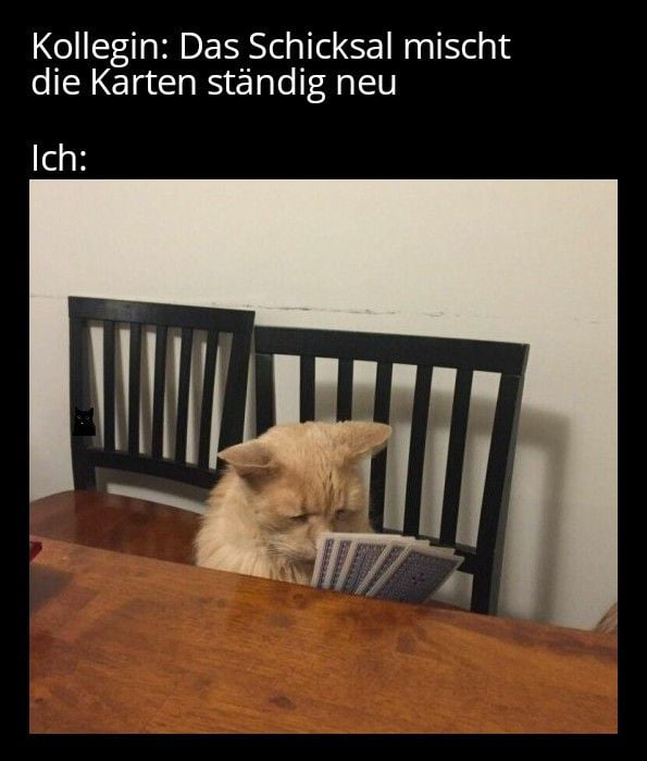 Gibt es eigentlich einen VHSKurs für dämliche Sprüche? 9GAG