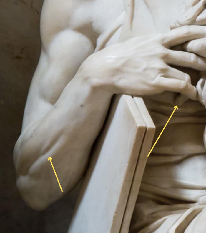 There s A Very Tiny Muscle In The Forearms That Contracts Only When 