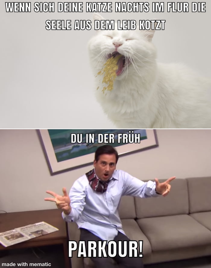 Beruht auf wahren begebenheiten 9gag