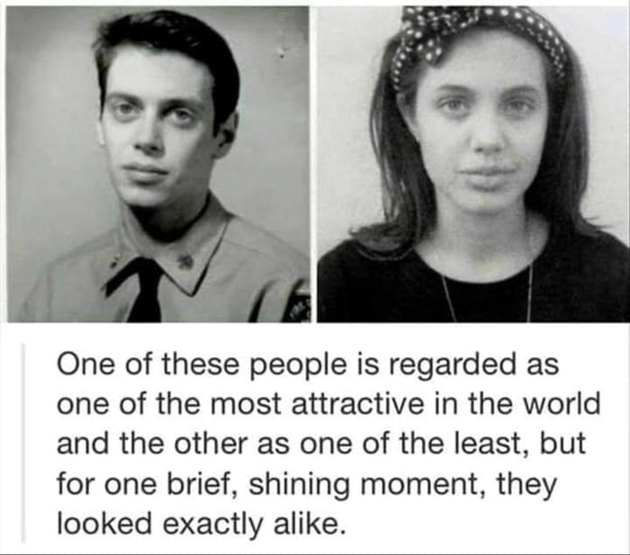 Steve Buscemi and Angelina Jolie 9GAG