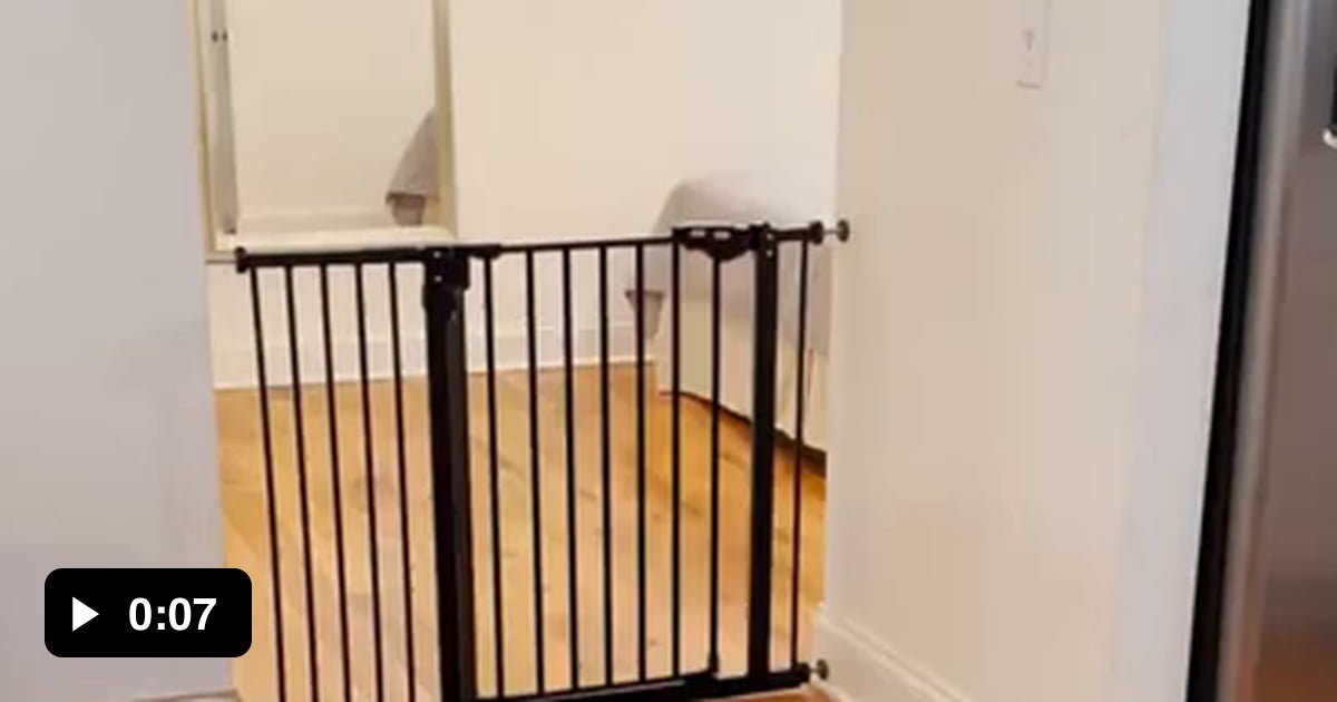 A dog jumps through a gate 9GAG