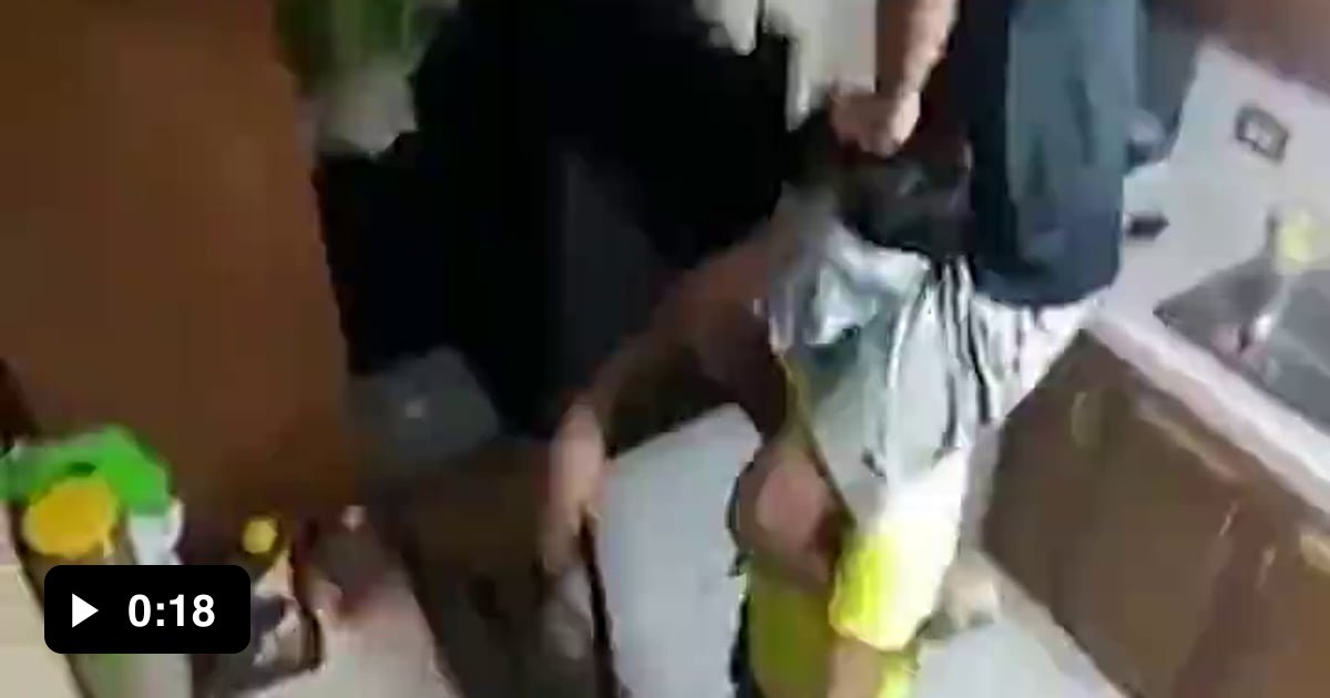 I think I downloaded the wrong ratatouille movie - 9GAG